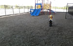 Playground Mulch (IPEMA Certified Engineered Wood Fiber)