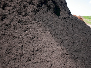 Organic Compost
